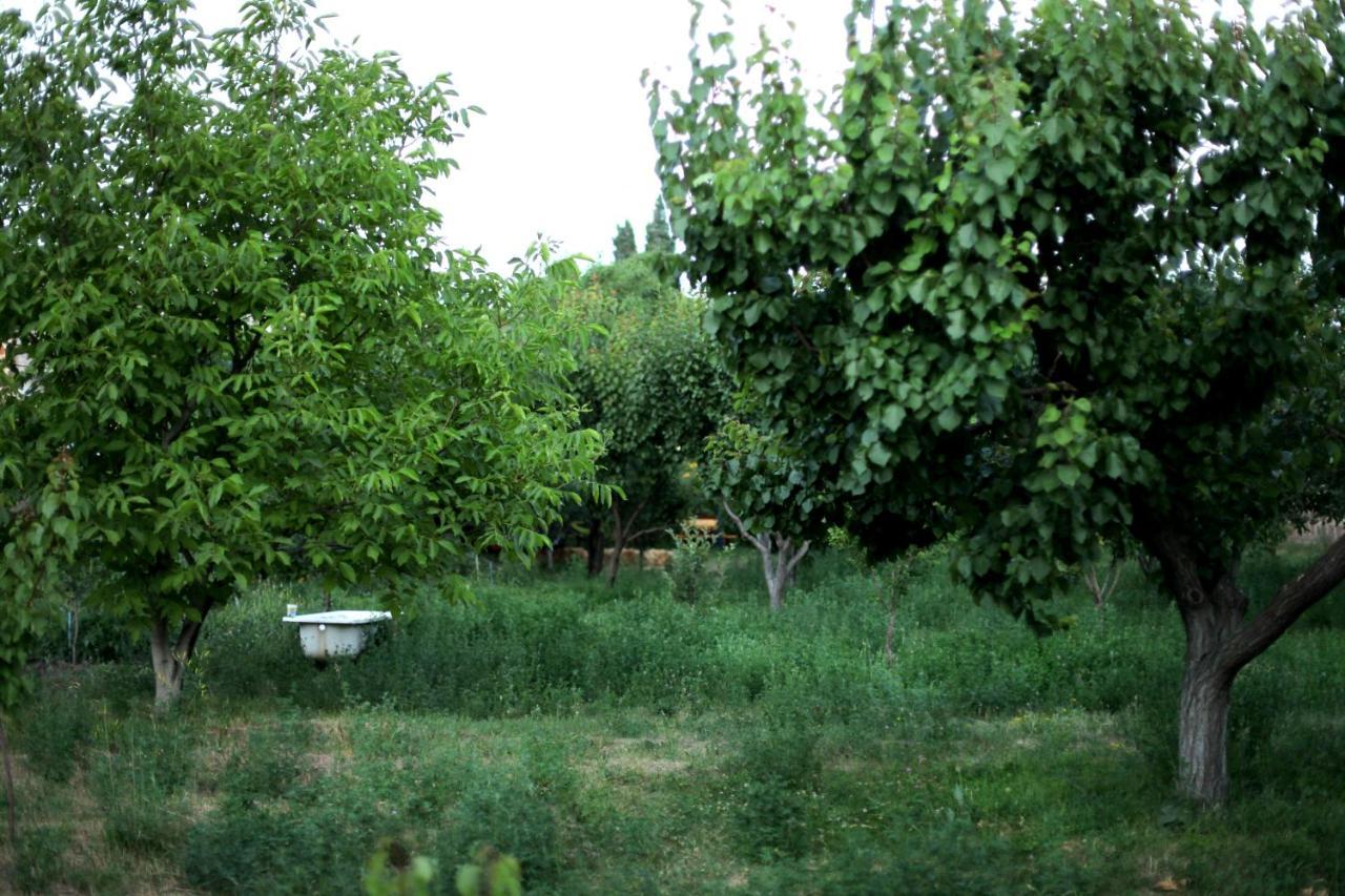 Ashnak Noosh Guesthouse מראה חיצוני תמונה