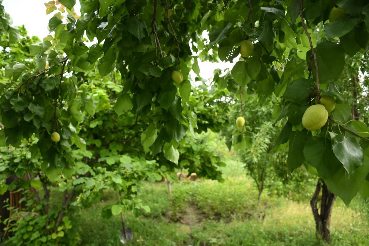 Ashnak Noosh Guesthouse מראה חיצוני תמונה